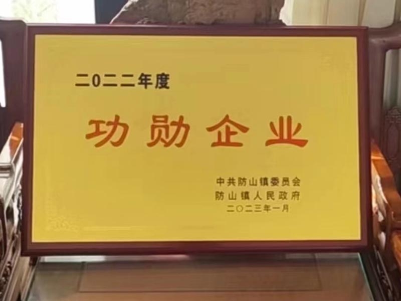 祝賀樂康醫(yī)療集團(tuán)下屬山東涵基建筑有限公司和山東裕鑫重工股份有限公司共同榮獲2022年曲阜市防山鎮(zhèn)十大功勛企業(yè) 